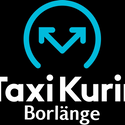 Avatar taxi-kurir 
