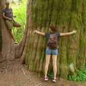 Avatar SuzanneVee 