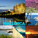 Avatar Mallorcatalks 