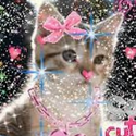 Avatar kittycrafter 