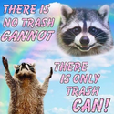 Avatar hungrytrashpanda 