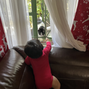 Avatar Boyandcatmum 
