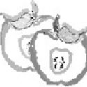 Avatar JnetNW 