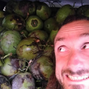 Avatar PomVincent 