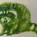 Avatar GreenRacoon 