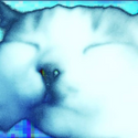 Avatar flo.sch2711hotmail.c 
