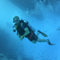 Avatar JumpingSeahorse 