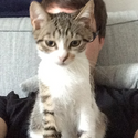 Avatar Tomasson1402 