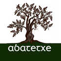 Avatar Abatetxe 