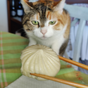 Avatar mar.tafuri 