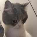 Avatar Tabitha1709 