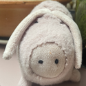 Avatar MrPigg 