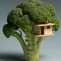 Avatar BroccoLee 