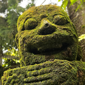 Avatar KleinesGoldloeckchen 