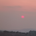 Avatar SachethanShanigaram 
