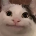 Avatar DzintarsErdbeere 