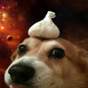 Avatar ThePeanutButterCorgi 