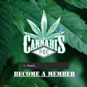 Avatar cannabispro 