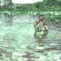 Avatar Keeswaterplant 