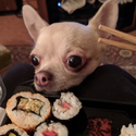 Avatar veganfoodmuncher 