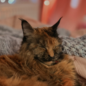 Avatar nataszka 