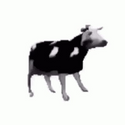 Avatar dancingcow 