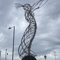 Avatar Roisin_O 
