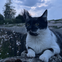 Avatar xcathyxx 