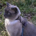 Avatar garyloewenthal