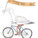 Avatar Seagullonbicycle 
