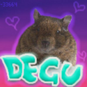 Avatar Degu 