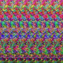 Avatar RaposaPreta 