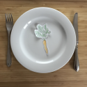 Avatar peacebeginsonplate 