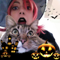 Avatar MenaVox 