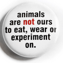 Avatar sopche7 