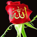 Avatar MuslimahToMuslimah 