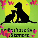 Avatar ElinaSifaki 