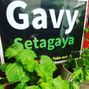 Avatar GavySetagaya 