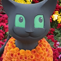 Avatar larahart 