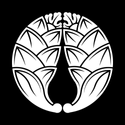 Avatar kajika 