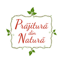 Avatar PrajituraDinNatura 