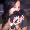 Avatar Patteo37 