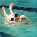 Avatar WaterRabbit 