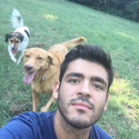Avatar AntonioMeleca 