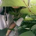 Avatar haennaa 
