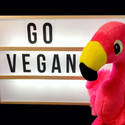 Avatar B12TheVeganFlamingo 