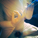 Avatar GoneSouth4Sun 