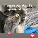 Avatar DanaePereira 