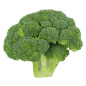 Avatar Broccoli421 