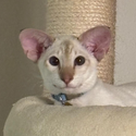 Avatar natahei 